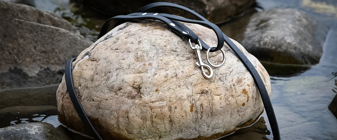 Most Dog Leashes Aren’t Built for Real Life. Ours Is.