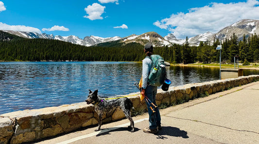 What to Pack for a Backcountry Hike With Your Dog: A Complete Gear List