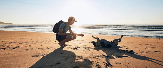 Person walking dog outdoors in nature feeling calm and relaxed