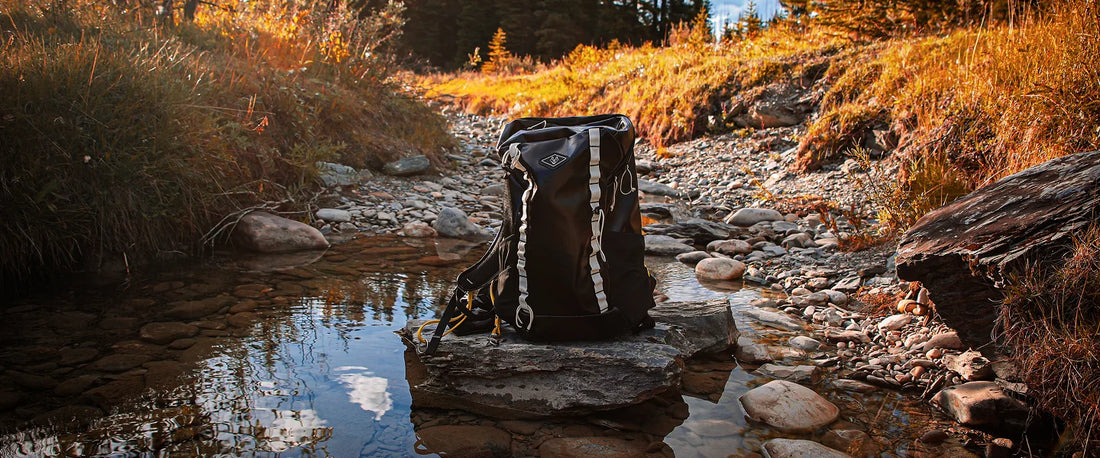 Durable outdoor dog gear used on a hiking trail in rugged conditions