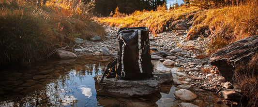 Durable outdoor dog gear used on a hiking trail in rugged conditions
