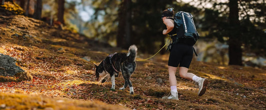 How the Wolf Stride System™ Works