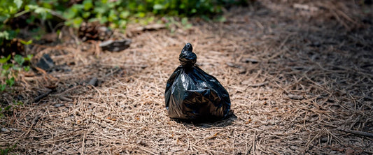 Person picking up dog waste on a hiking trail with dog outdoors
