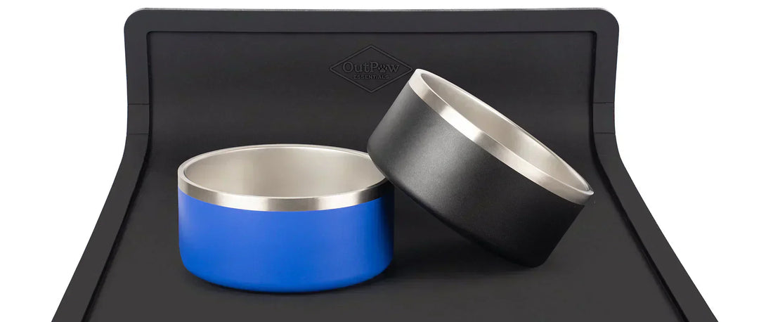 Why Your Dog’s Feeding Setup Matters More Than You Think