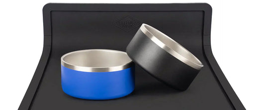 Why Your Dog’s Feeding Setup Matters More Than You Think