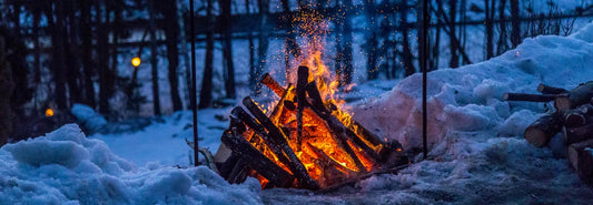 A Winter Adventure Guide for Dogs: How to Keep Your Pup Safe, Warm & Happy Outdoors