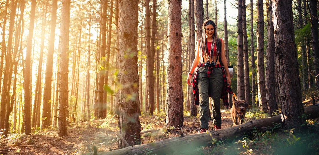 Dog walking on a shaded trail at early morning during summer to avoid hot pavement