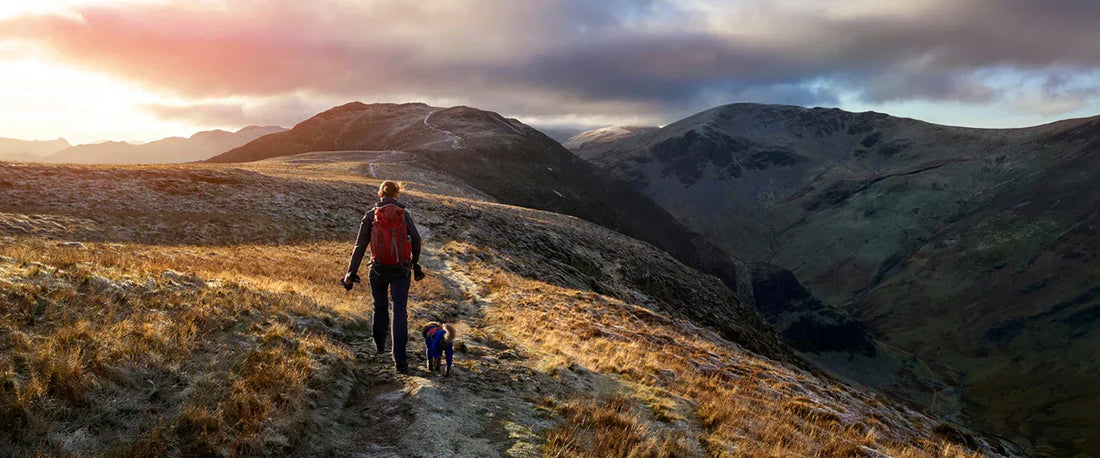 Dog hiking gear packing list