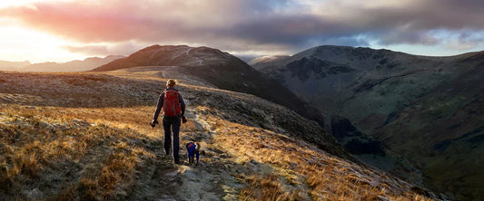 Dog hiking gear packing list