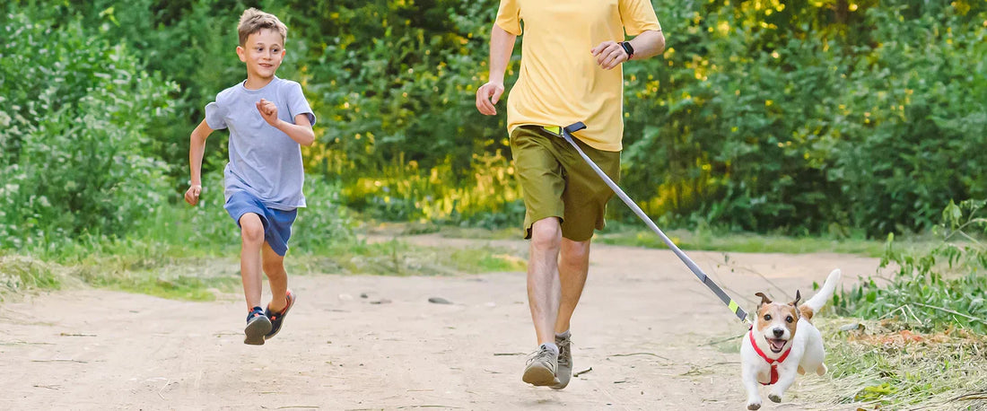 Person walking dog hands-free outdoors using leash system