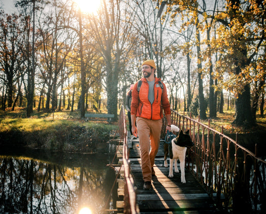 Best Hands-Free Dog Leash for Hiking (2026 Guide)