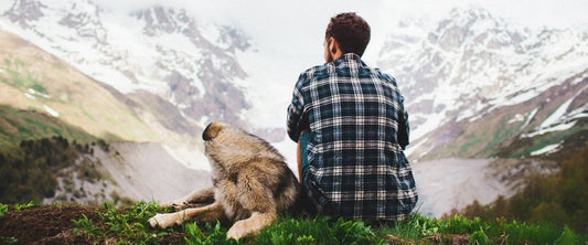Spring Hiking With Your Dog: The Only Checklist You Actually Need