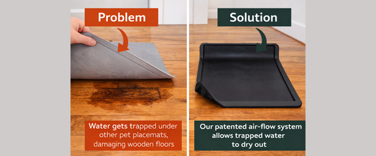 Why Dog Bowls and Placemats Are Ruining Your Floors — and How to Prevent Long-Term Damage