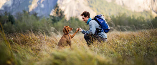 Hands-free dog hiking system on trail