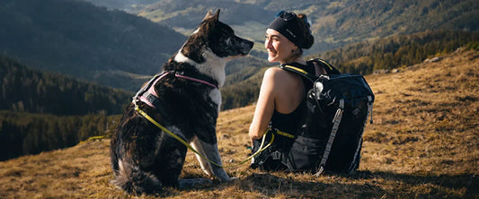 Hands-Free Dog Walking: Backpack Systems vs Waist Leashes