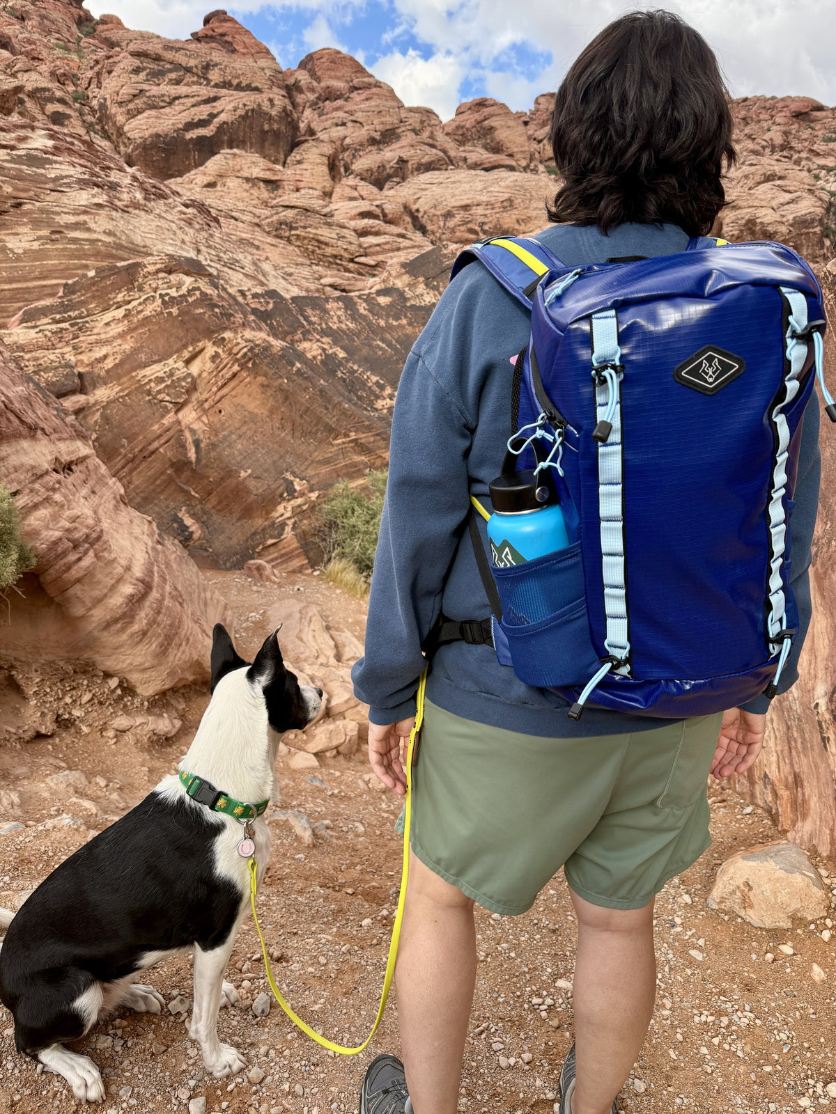 Jessie on a Hi-Vis Lime leash at Red Rock Canyon beside the blue Wolfstride Backpack