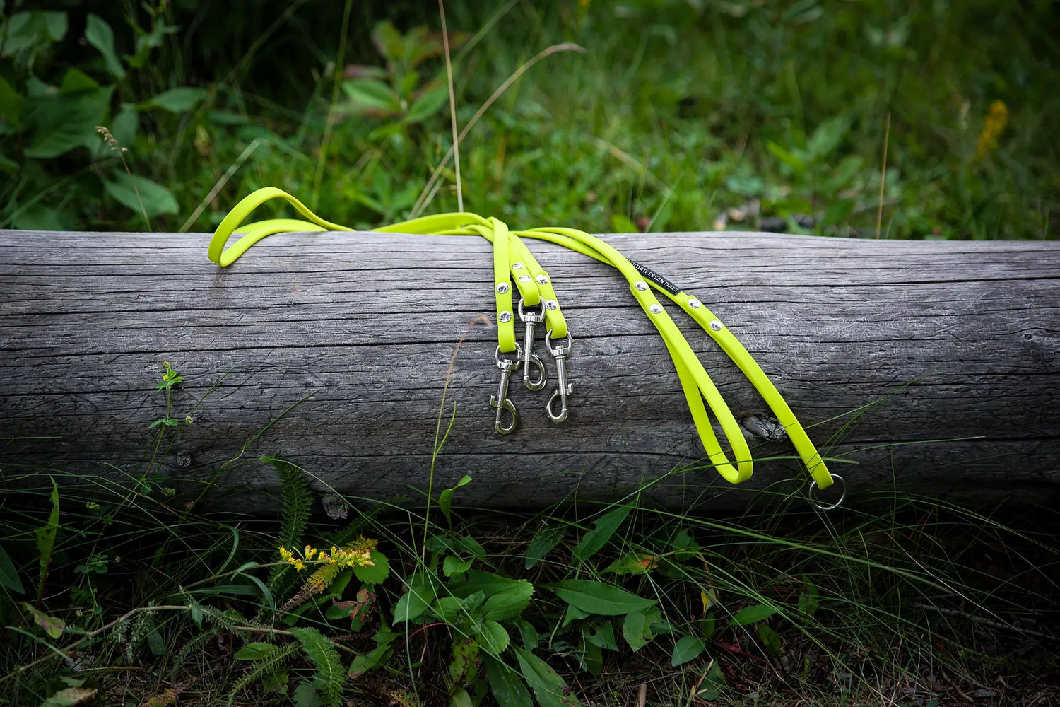 Eco-Performance Leashes