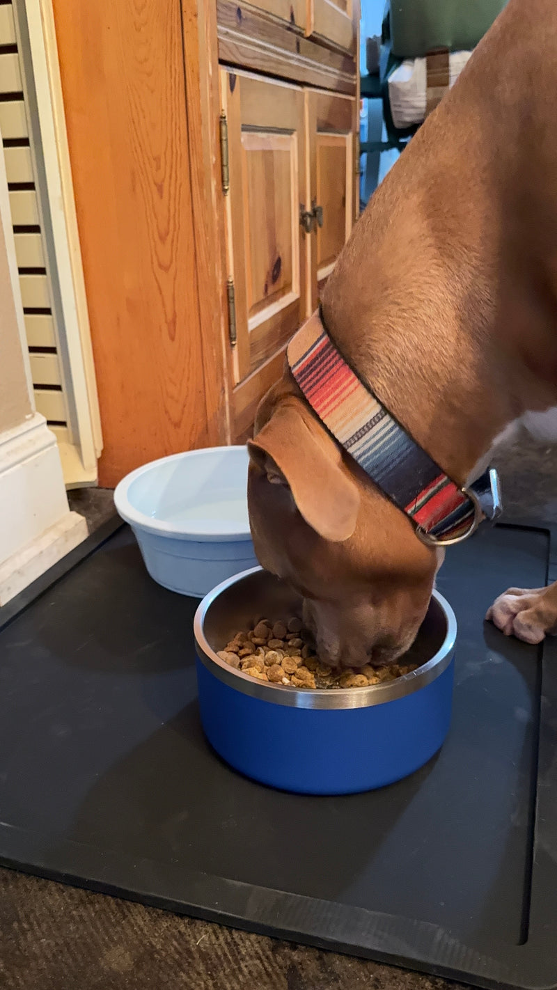 Single Feeding Setup in use at home, shared by a customer
