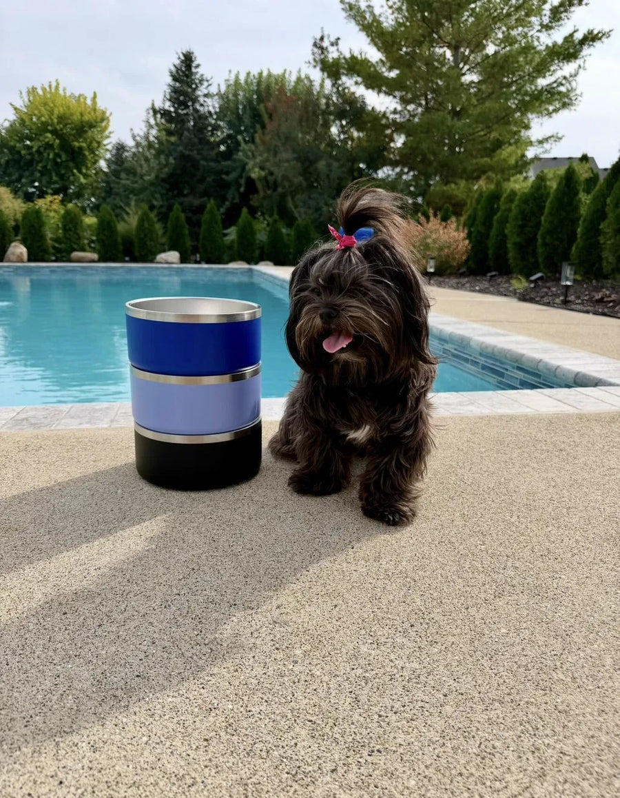 Stainless Steel Dog Bowls from the 3 Pack Dog Bowl Bundle in use at home, shared by a customer