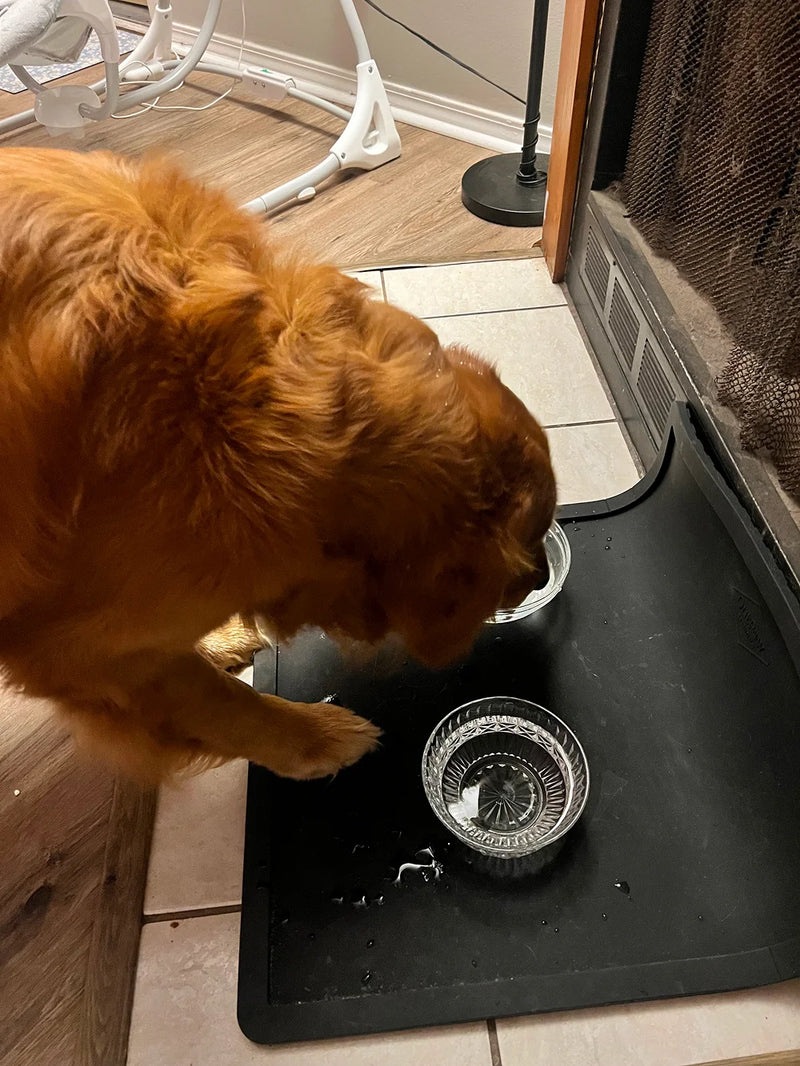 Wolf Woman Essentials Silicone Feeding Placemat in Black with a customer's golden retriever