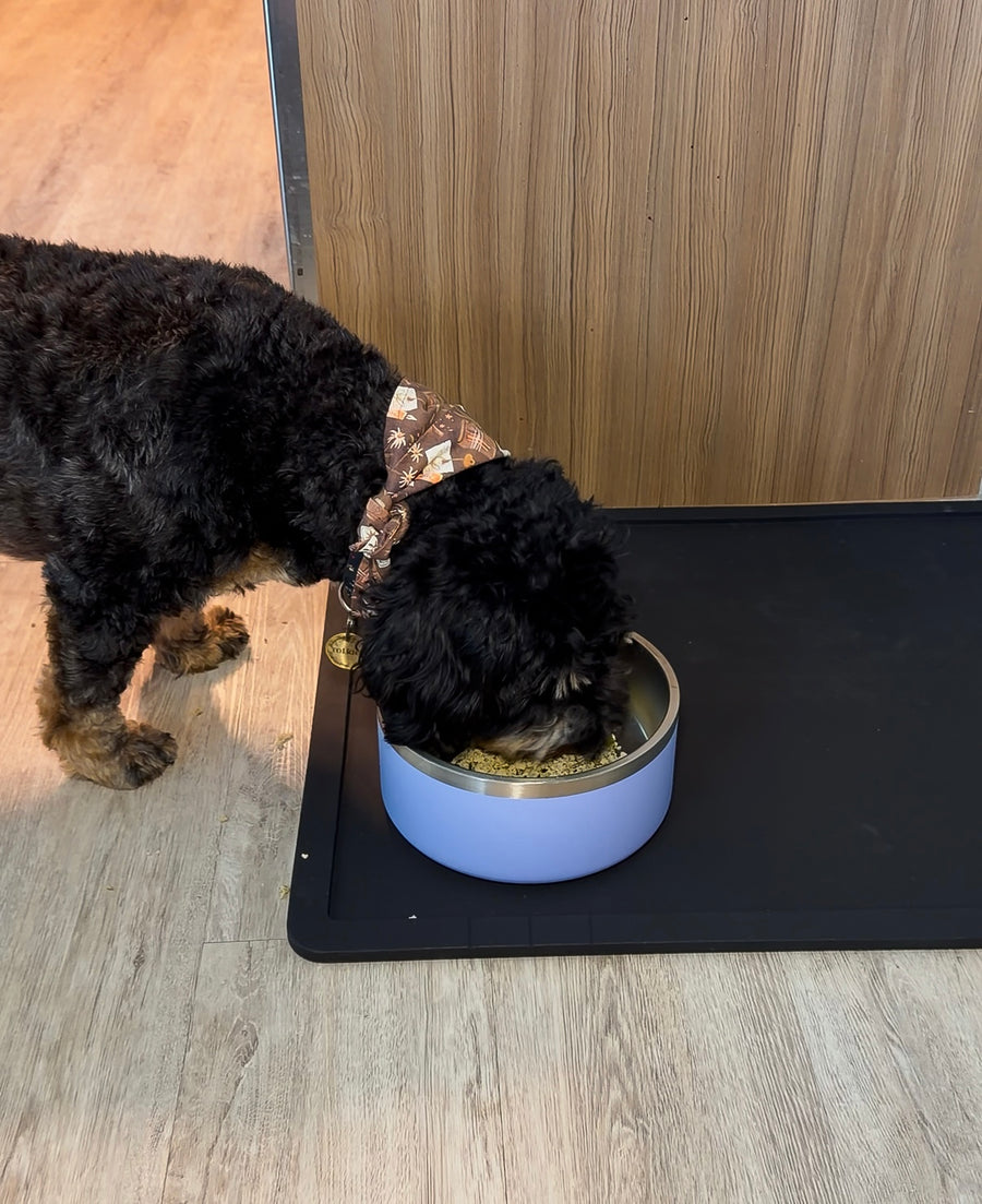 Single Feeding Setup with a Periwinkle stainless steel bowl on the black pet placemat, a customer's dog eating dinner at home