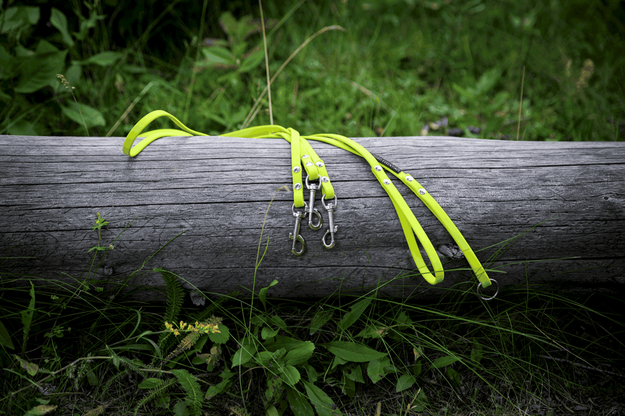 6 ft Primary Leash