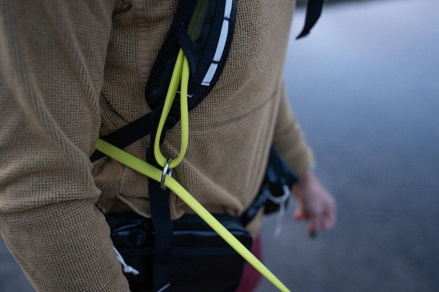 6 ft Primary Leash