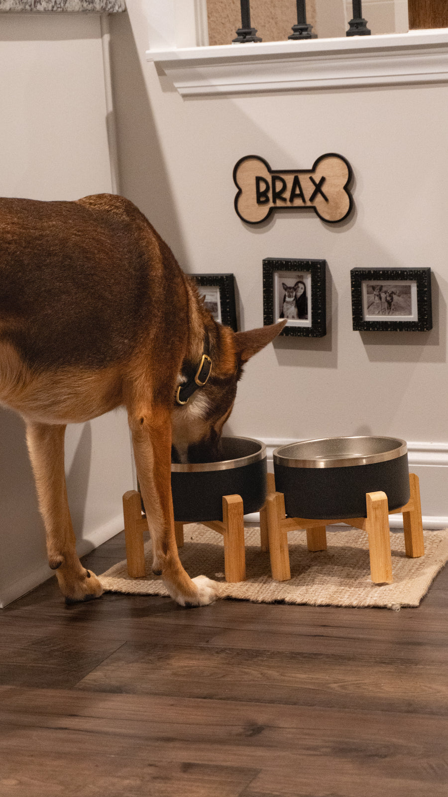 Two Black Stainless Steel Dog Bowls from the 2 Pack Dog Bowl Bundle in use, shared by a customer