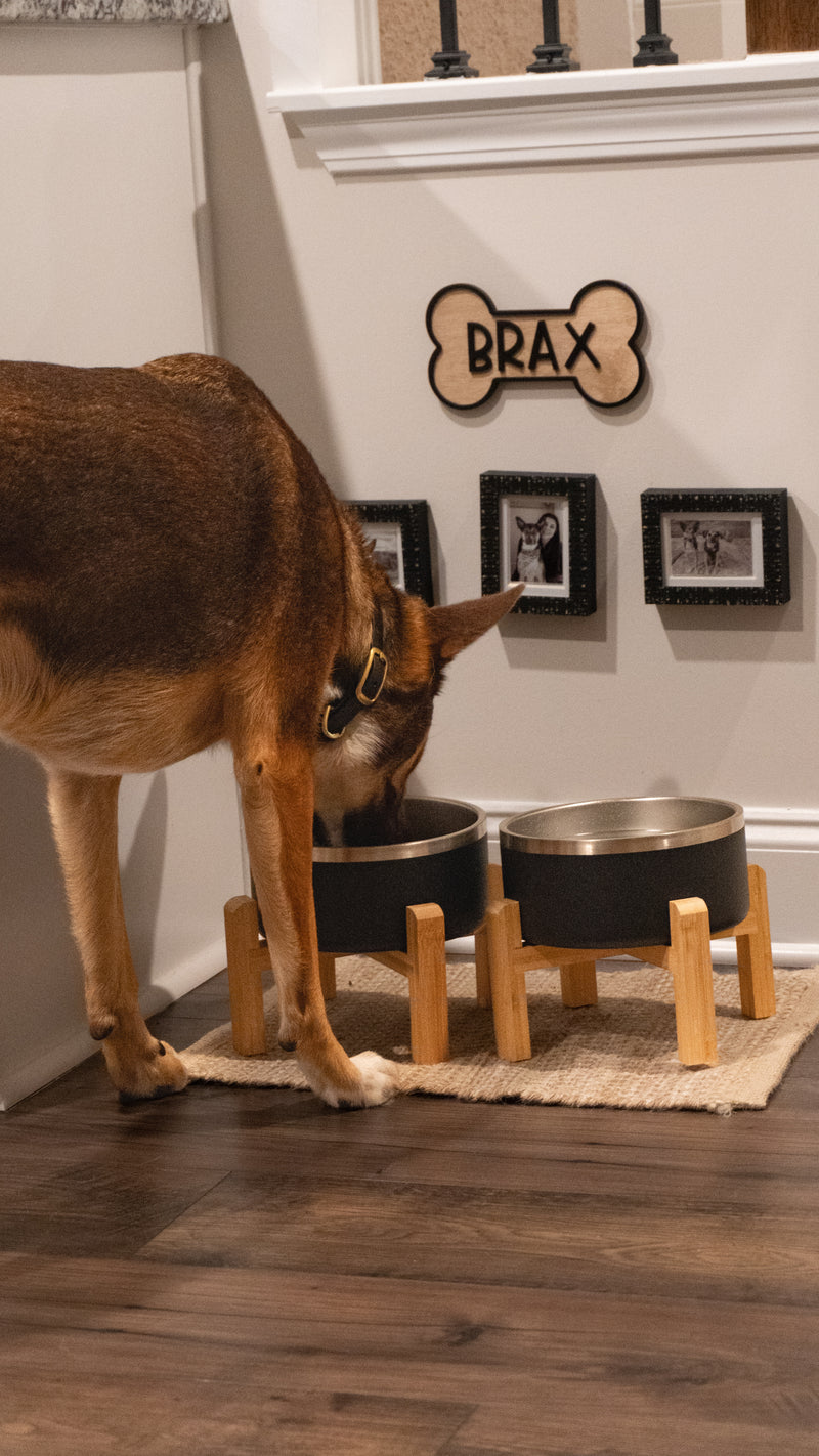 Wolf Woman Essentials 2 Pack Dog Bowl Bundle