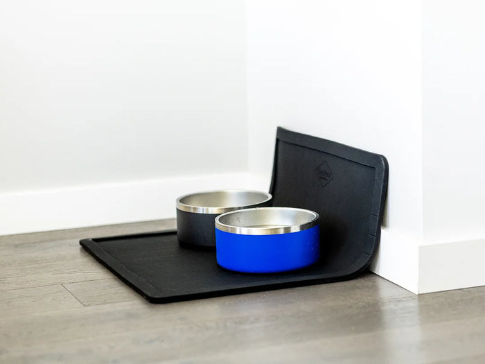 Dual Feeding Setup with silicone dog placemat and stainless steel bowls, complete feeding station setup for dogs