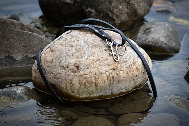 Eco-Performance Leashes
