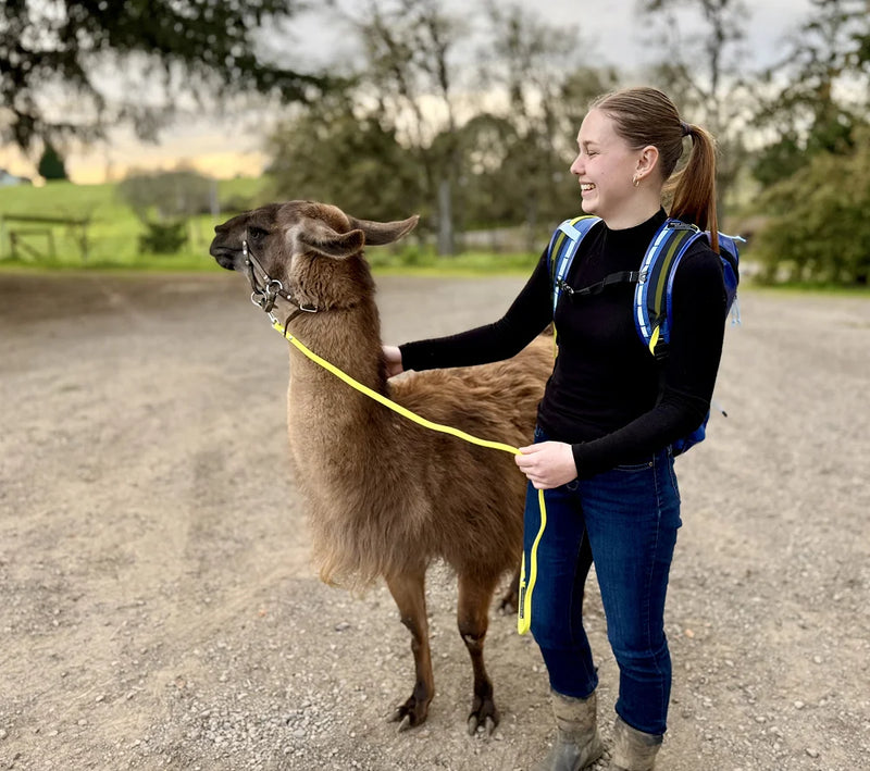 Woman wearing the Wolf Stride hands-free backpack while walking a llama outdoors