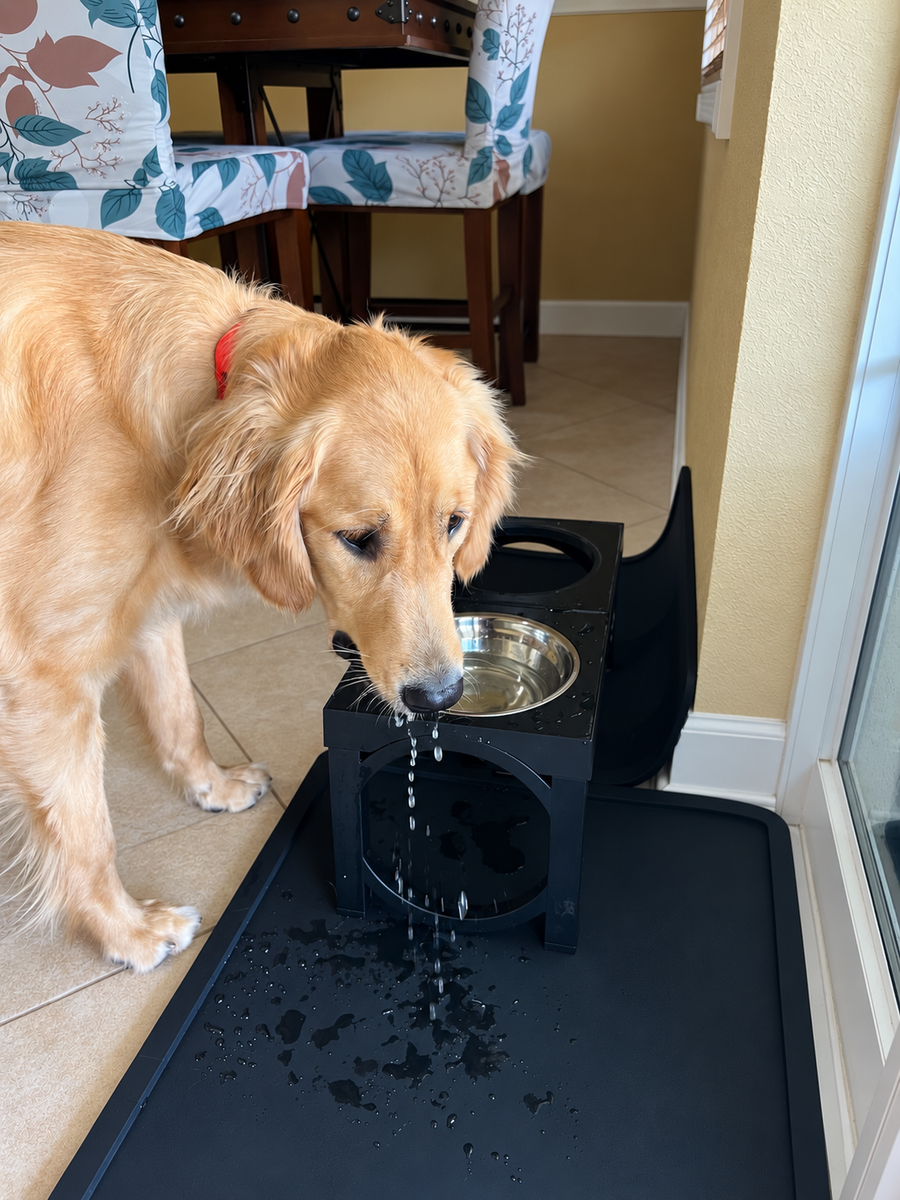 Two-Zone Mat Setup with the black placemat catching every drip as a customer's golden retriever drinks from the raised bowl