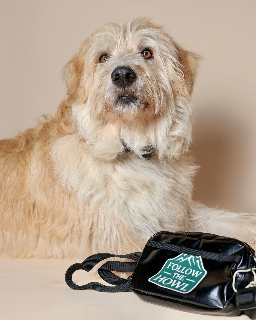 Treat Pouch in Black worn on the trail by a customer