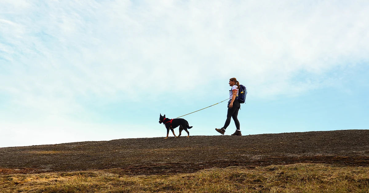 Dog owner walking with a dog across open terrain while using the Wolf Stride backpack system