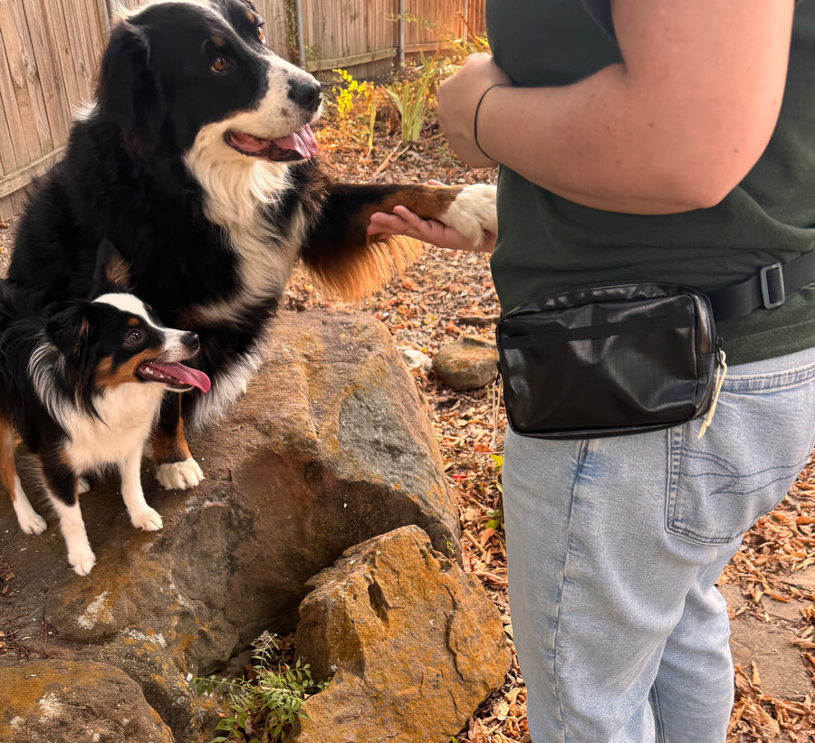 Treat Pouch in Black during a training session
