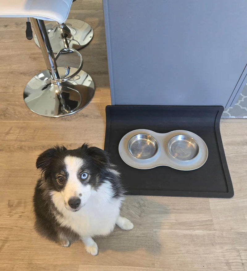 Wolf Woman Essentials Silicone Feeding Placemat in Black with a customer's dog looking at the camera