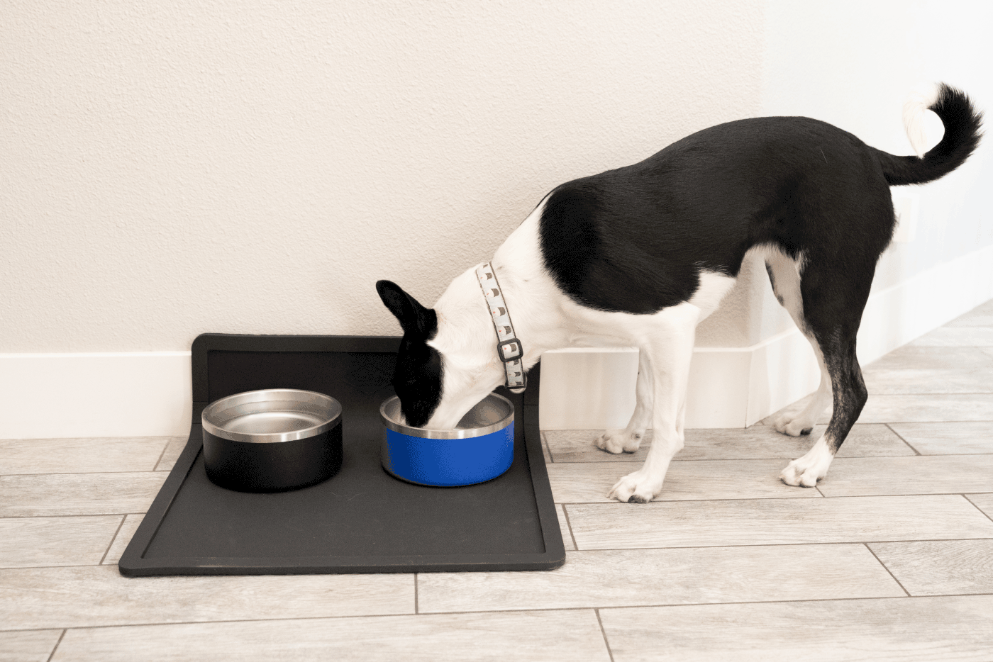 Silicone Feeding Placemat w/ Splash Guard (Black)