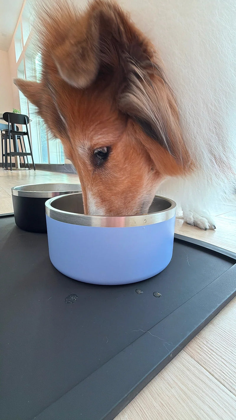 Dog drinking from a portable Wolf Pack travel water bowl on a pet feeding mat