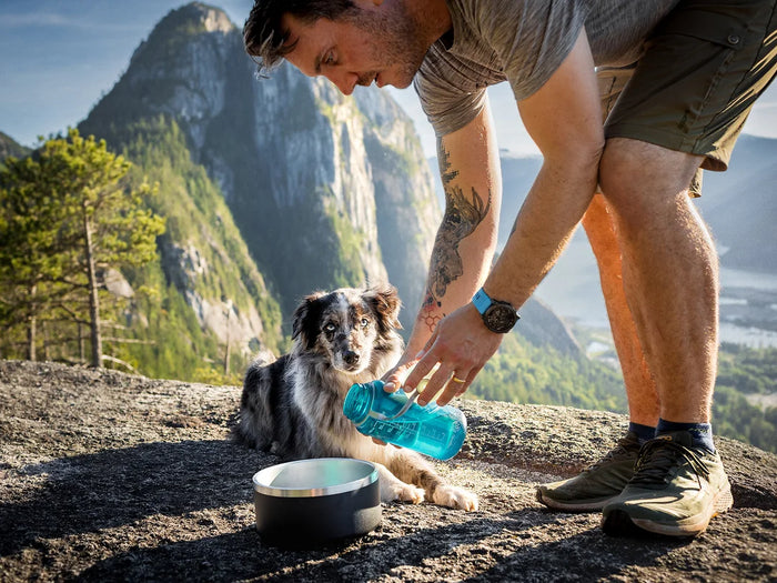 Stainless Steel Dog Bowls