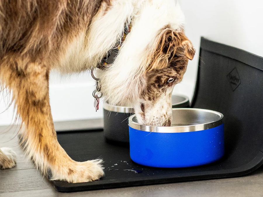 The Pet Placemat