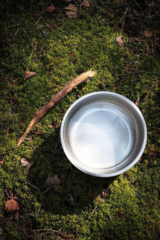 2 Pack Dog Bowl Bundle