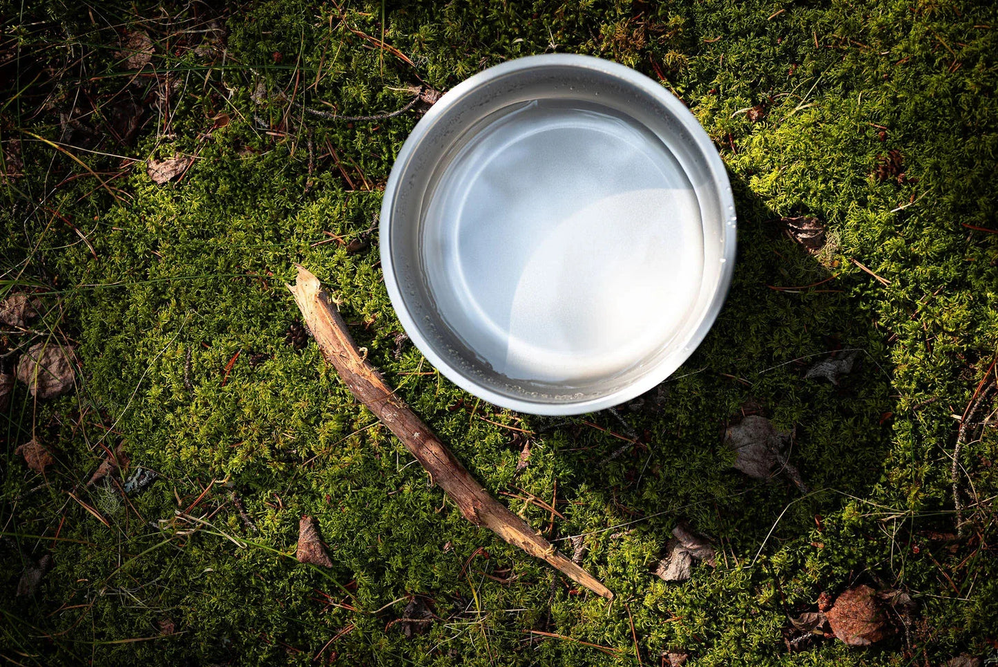 2 Pack Dog Bowl Bundle