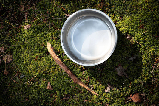 2 Pack Dog Bowl Bundle