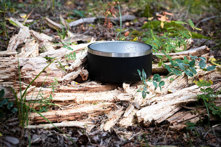 Second Stainless Steel Dog Bowl