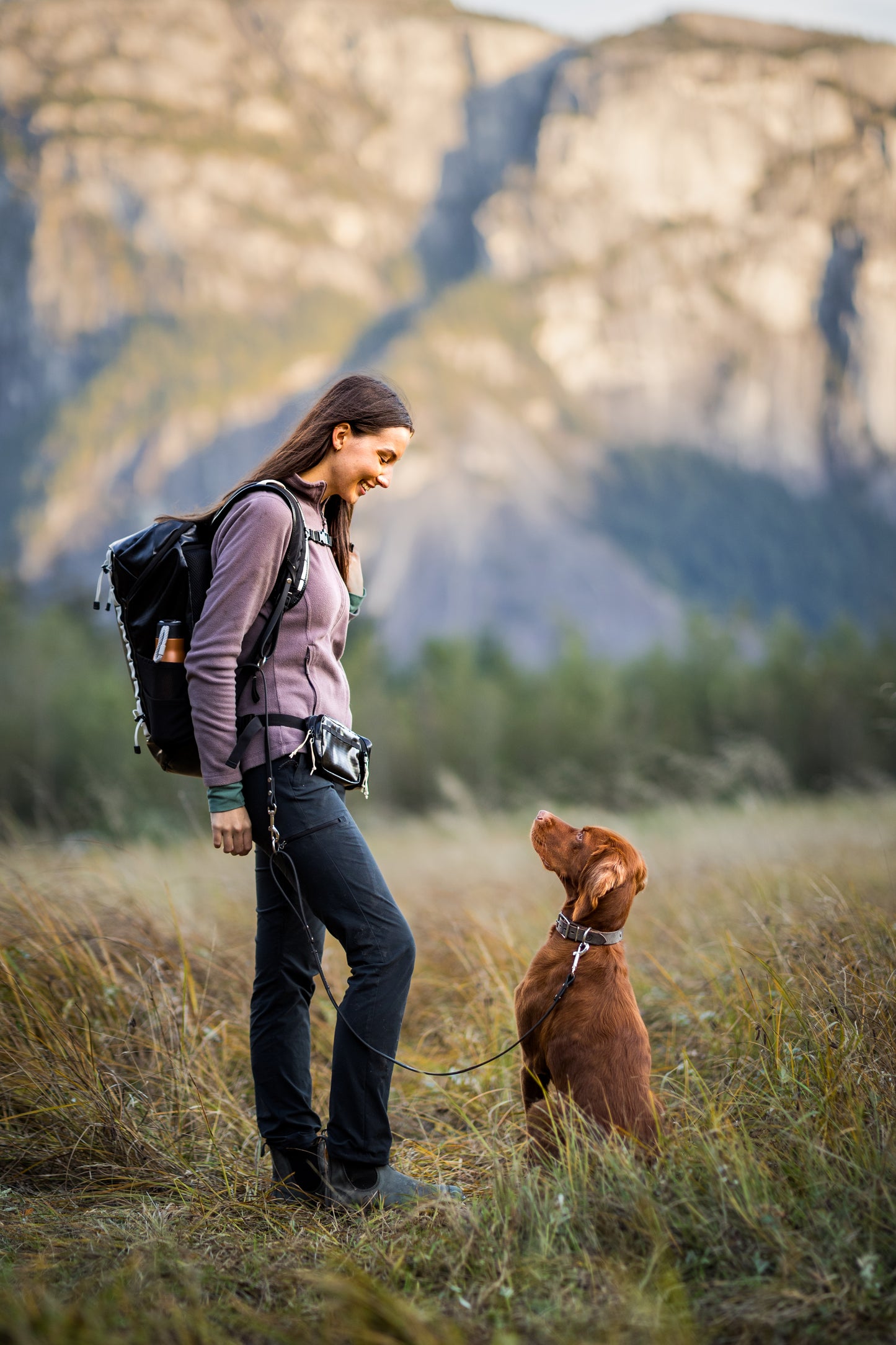 Wolf Stride System (Leash Pack)