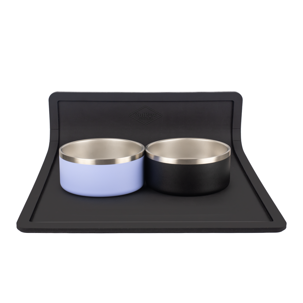 Pet Placemat and 2-Bowl Bundle