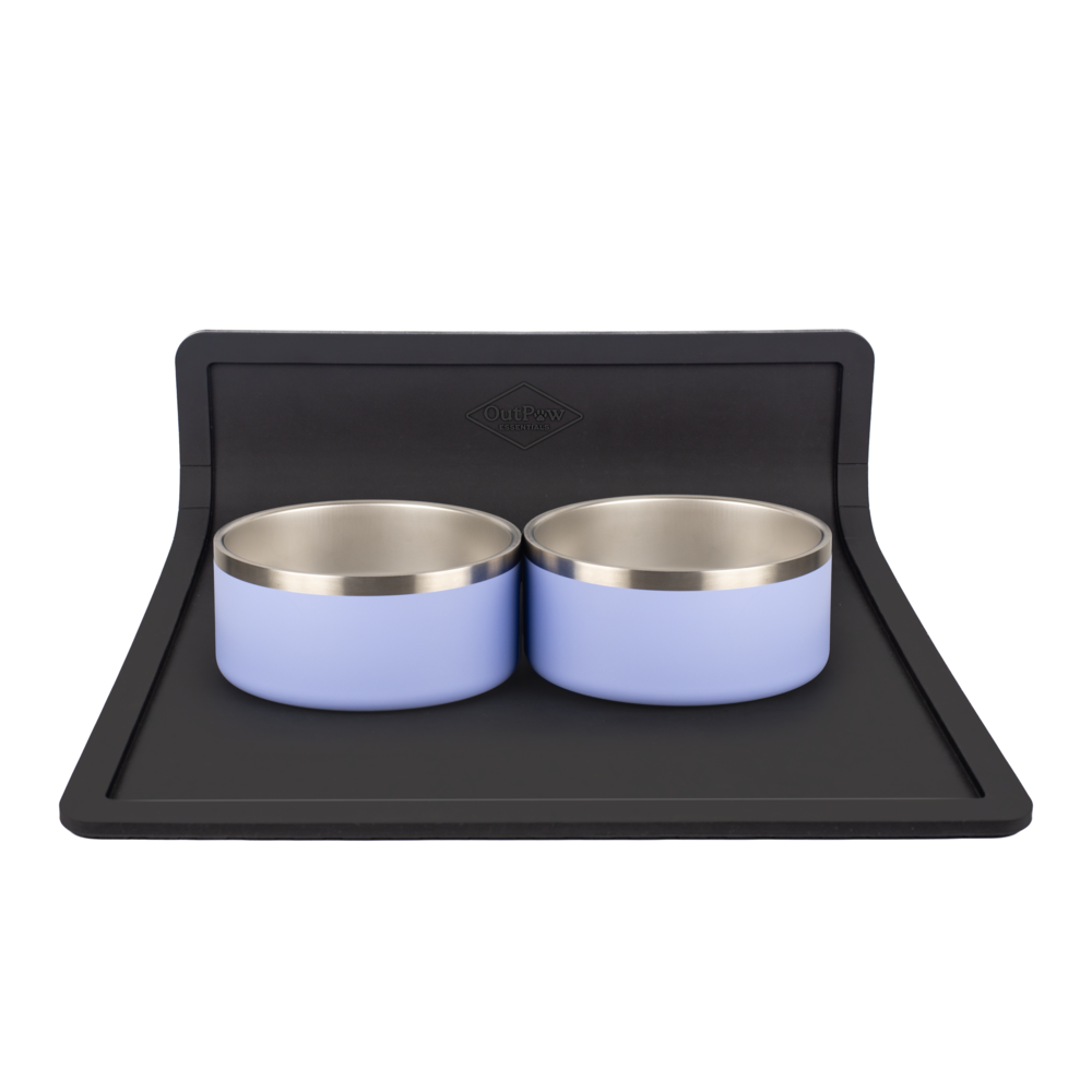 Pet Placemat and 2-Bowl Bundle