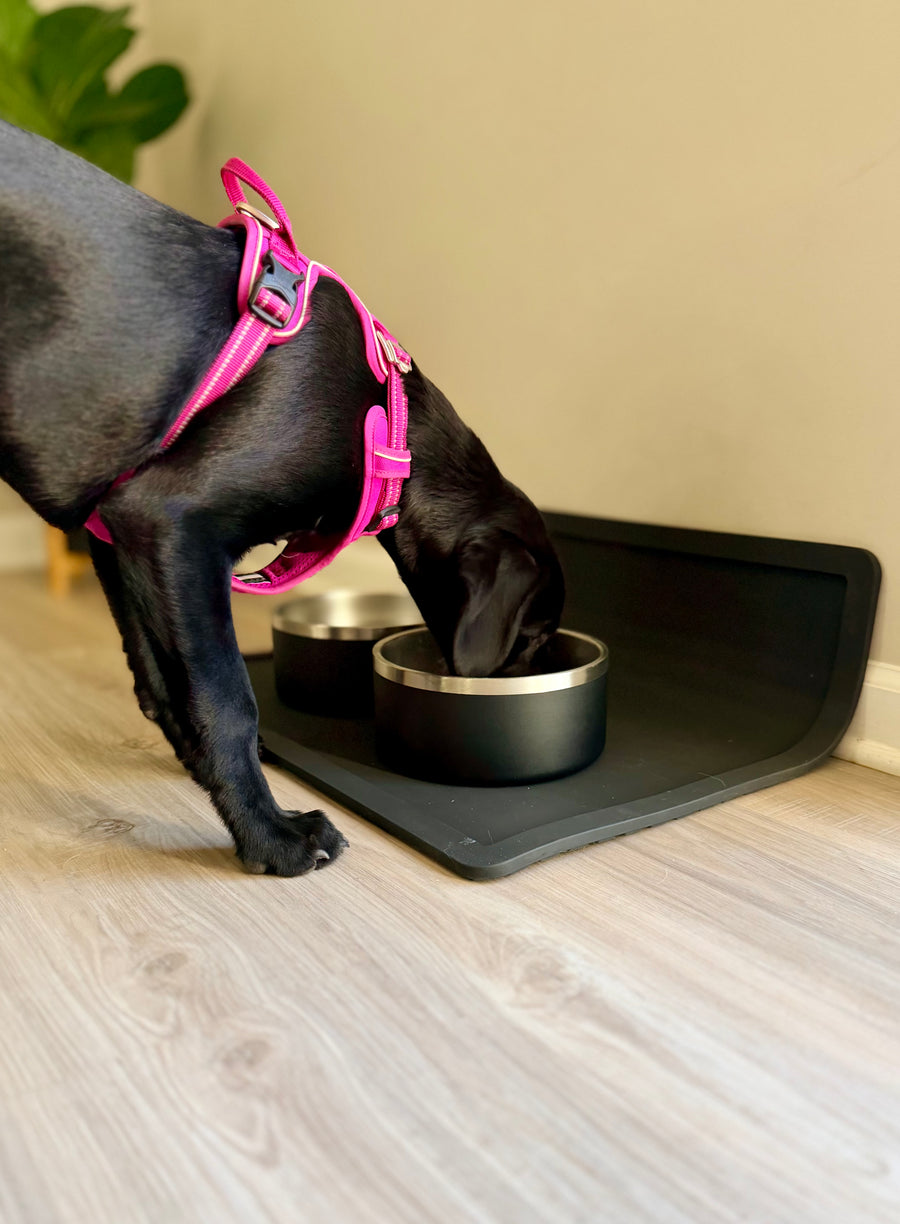 Dual Feeding Setup with two black stainless steel bowls on the black placemat, shared by a customer