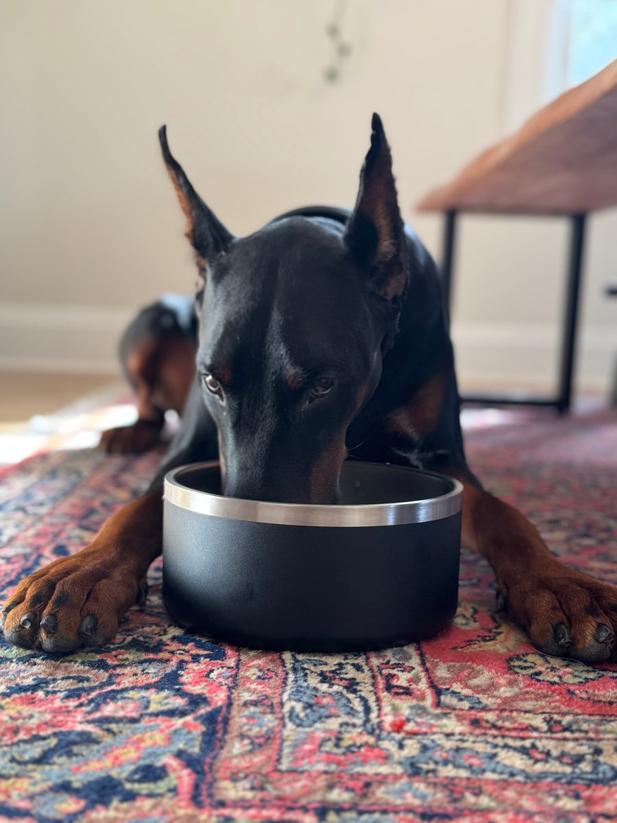Stainless Steel Dog Bowl in Black at home with a customer's black Doberman